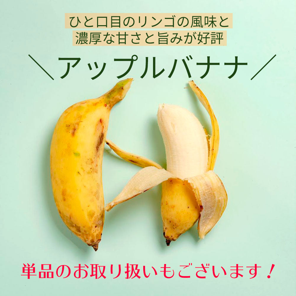 沖縄産　島バナナアップルバナナ