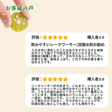 画像をギャラリービューアに読み込む, ざまみのシークヮーサー果汁100% 500ml×3本 シークヮーサー果汁 原液 果汁100% 健康効果 ノビレチン シークワーサー沖縄 うるま市