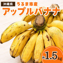 画像をギャラリービューアに読み込む, 沖縄県うるま市産アップルバナナ約1.5kgの商品