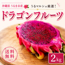 画像をギャラリービューアに読み込む, 【予約販売】うるま市産 ドラゴンフルーツ 約2kg(4〜5玉)|送料込