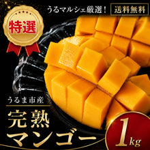 画像をギャラリービューアに読み込む, うるま市産 特選完熟マンゴー 約1kg