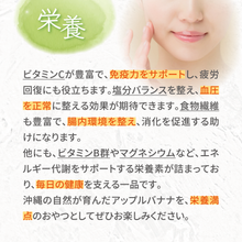 画像をギャラリービューアに読み込む, 【送料込】大人気!!うるま市産アップルバナナ【令和7年6月以降順次発送】1房 約2㎏前後【予約販売】【うるまの農産物】