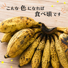 画像をギャラリービューアに読み込む, 黄色く色づき黒い斑点が出た食べ頃のバナナの画像