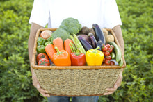 画像をギャラリービューアに読み込む, 08【送料無料】うるマルシェおまかせ野菜セット【入荷次第発送】【7月以降順次発送】