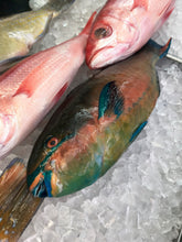 画像をギャラリービューアに読み込む, (13)【送料込】うるマルシェおまかせ鮮魚セット 数量限定!!