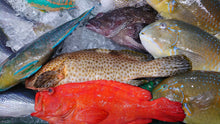 画像をギャラリービューアに読み込む, (13)【送料込】うるマルシェおまかせ鮮魚セット 数量限定!!