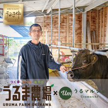 画像をギャラリービューアに読み込む, 10【送料無料】【数量限定】うるま牛サーロインステーキ(冷凍)【7月以降順次発送】 【予約販売】