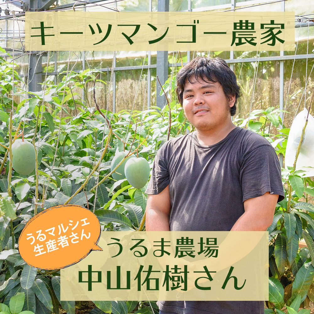 キーツマンゴーまだまだ販売中！！