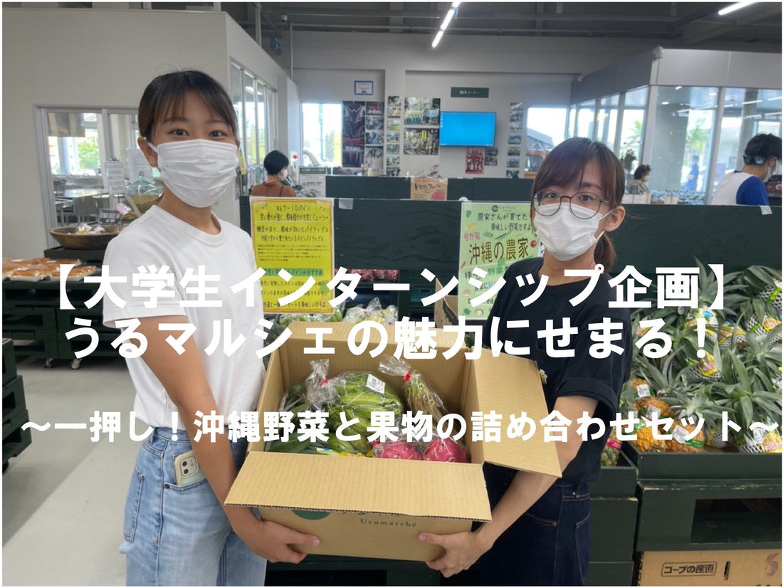 【大学生インターンシップ企画】うるマルシェの魅力にせまる！