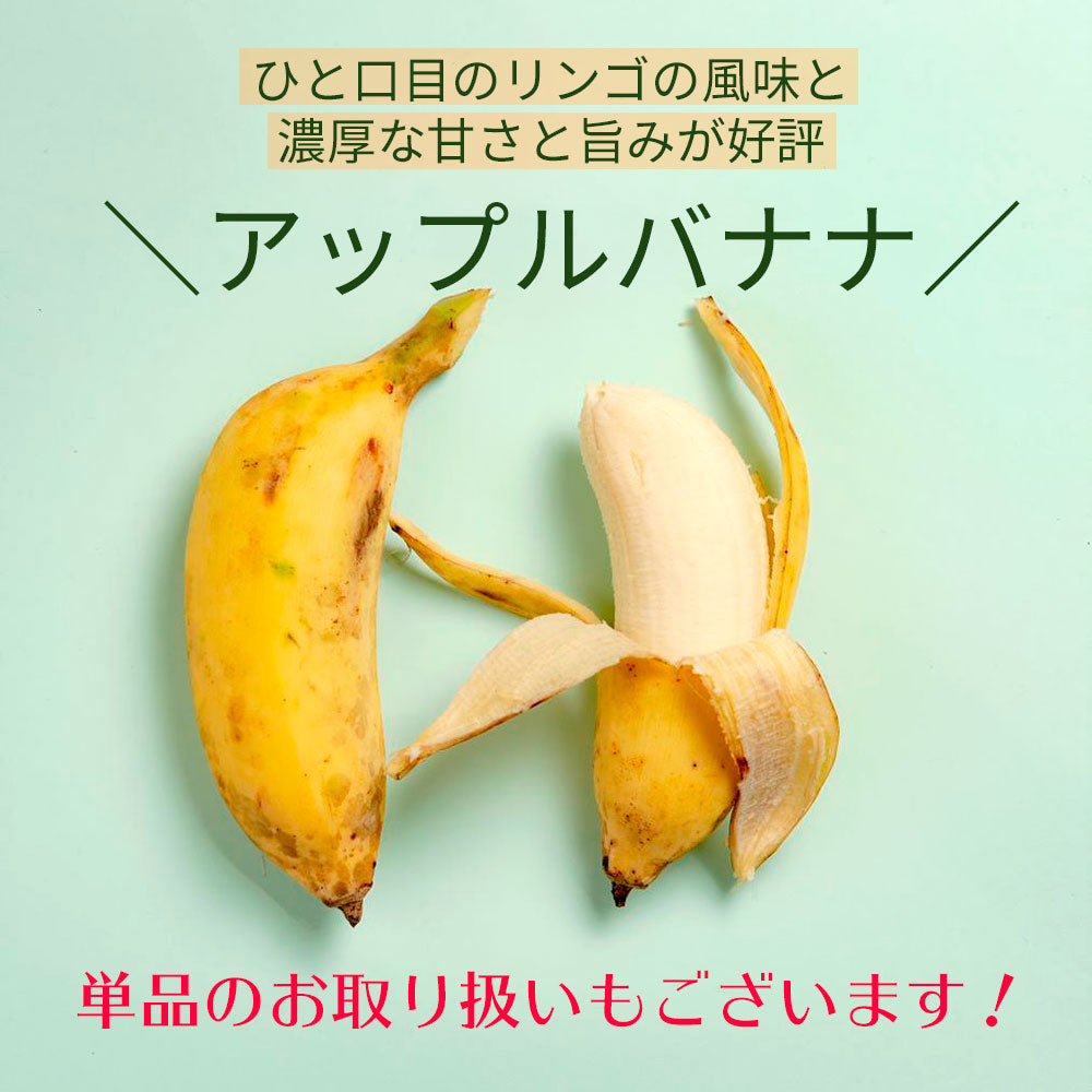 ばなな、バナナ、BANANA、バナナ