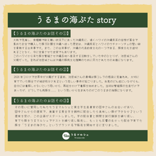 画像をギャラリービューアに読み込む, 【送料込】うるまの海ぶた　らふてい丼　４食セット
