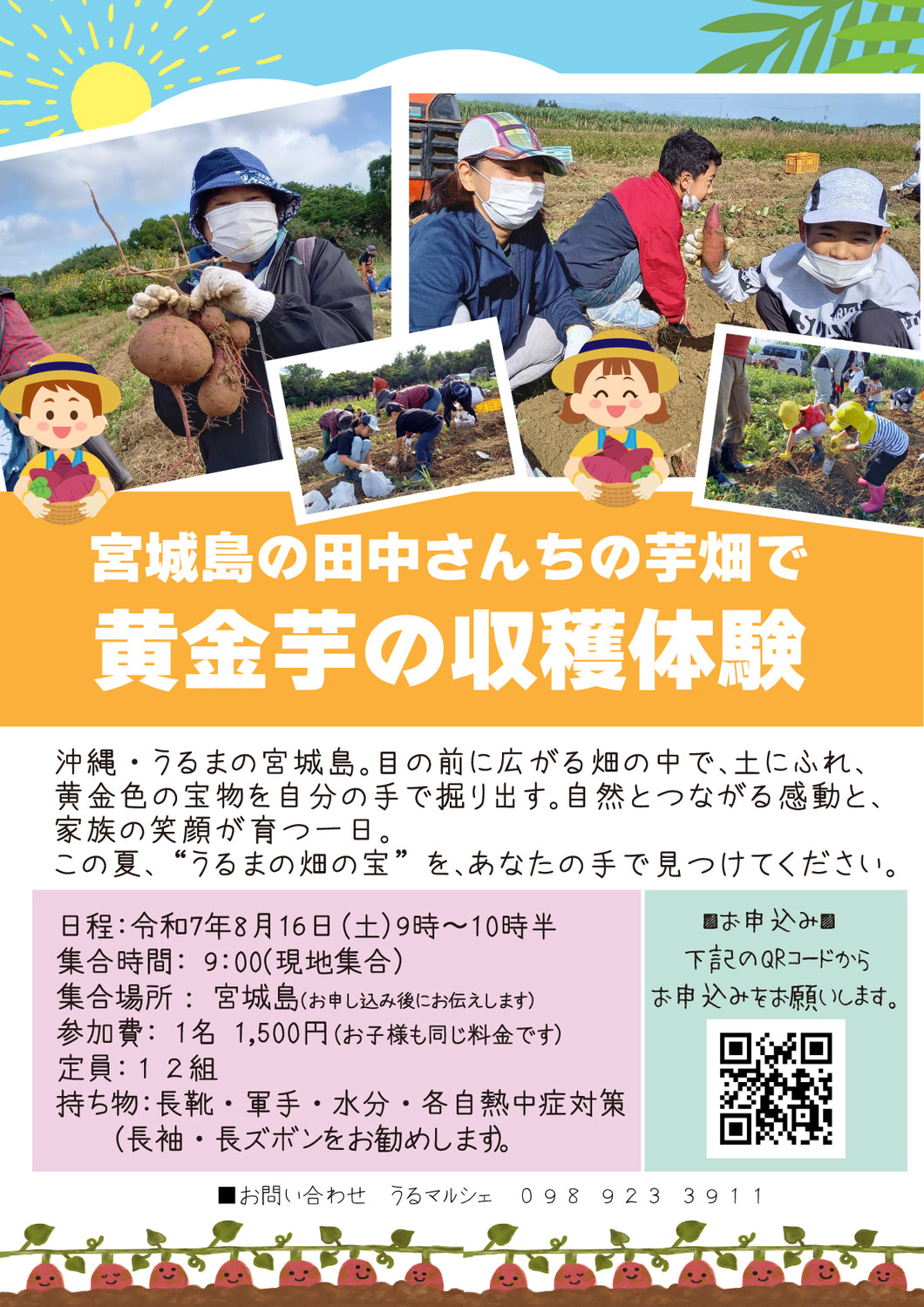【参加者募集】宮城島で黄金芋掘り体験♪