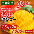 【8/1〜8/2限定】沖縄県産 完熟マンゴー ご自宅用  約1.5kg×2箱（1箱3〜4玉）｜送料込 7,000円