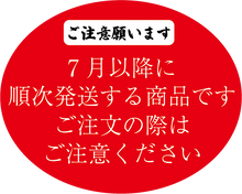 画像をギャラリービューアに読み込む, 8-1（120）【送料込】大人気！！うるま市産アップルバナナ【激ウマ】1房 約1.５㎏【うるまの農産物】
