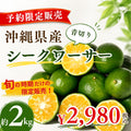 【予約販売】沖縄県産 青切りシークワーサー 約2kg｜送料込
