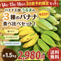 【限定販売！】3種のバナナ食べ比べセット 約1.5kg