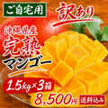 【8/3〜8/4限定】沖縄県産 完熟マンゴー ご自宅用  約1.5kg×3箱（1箱3〜4玉）｜送料込 8,500円 (コピー)