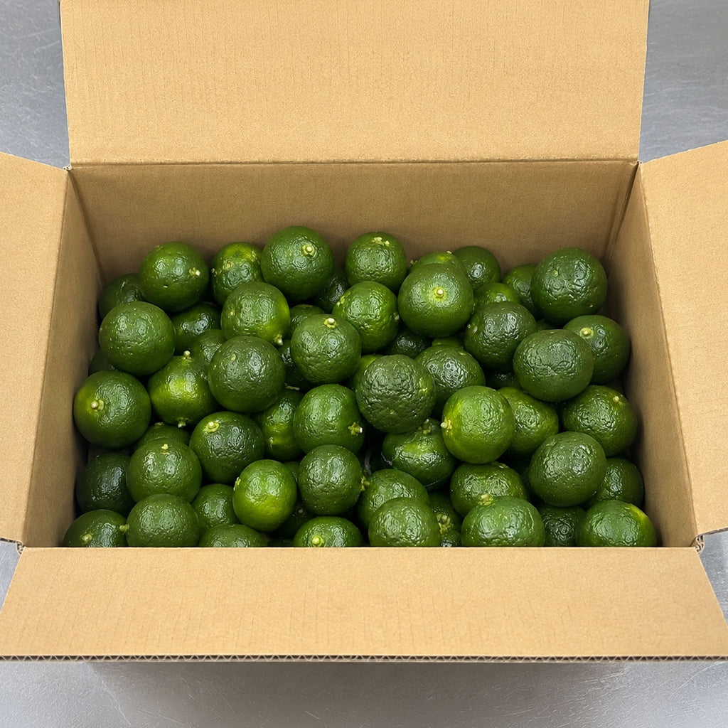 【予約販売】沖縄県産 青切りシークワーサー 約2kg｜送料込