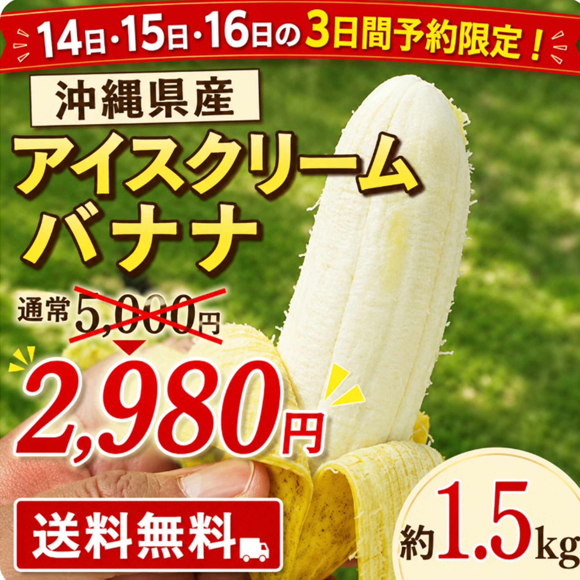 【予約販売】沖縄県うるま市産 アイスクリームバナナ 約1.5kg