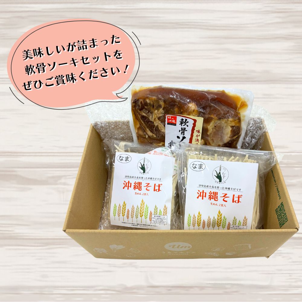 【予約限定販売】うるマルシェ 軟骨ソーキそば（2人前）｜送料込