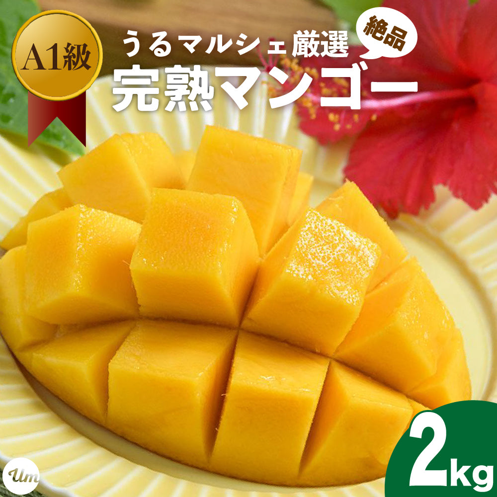 【予約販売】沖縄県産完熟マンゴー約2kg（３〜４玉）【7月以降順次発送】【送料込】A1