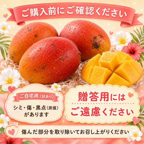 【8/3〜8/4限定】通販限定！台風直前💦訳あり 完熟マンゴー ご自宅用  約1.5kg×2箱（1箱3〜4玉）｜送料込 5,800円　8月6日〜7日にお届け予定