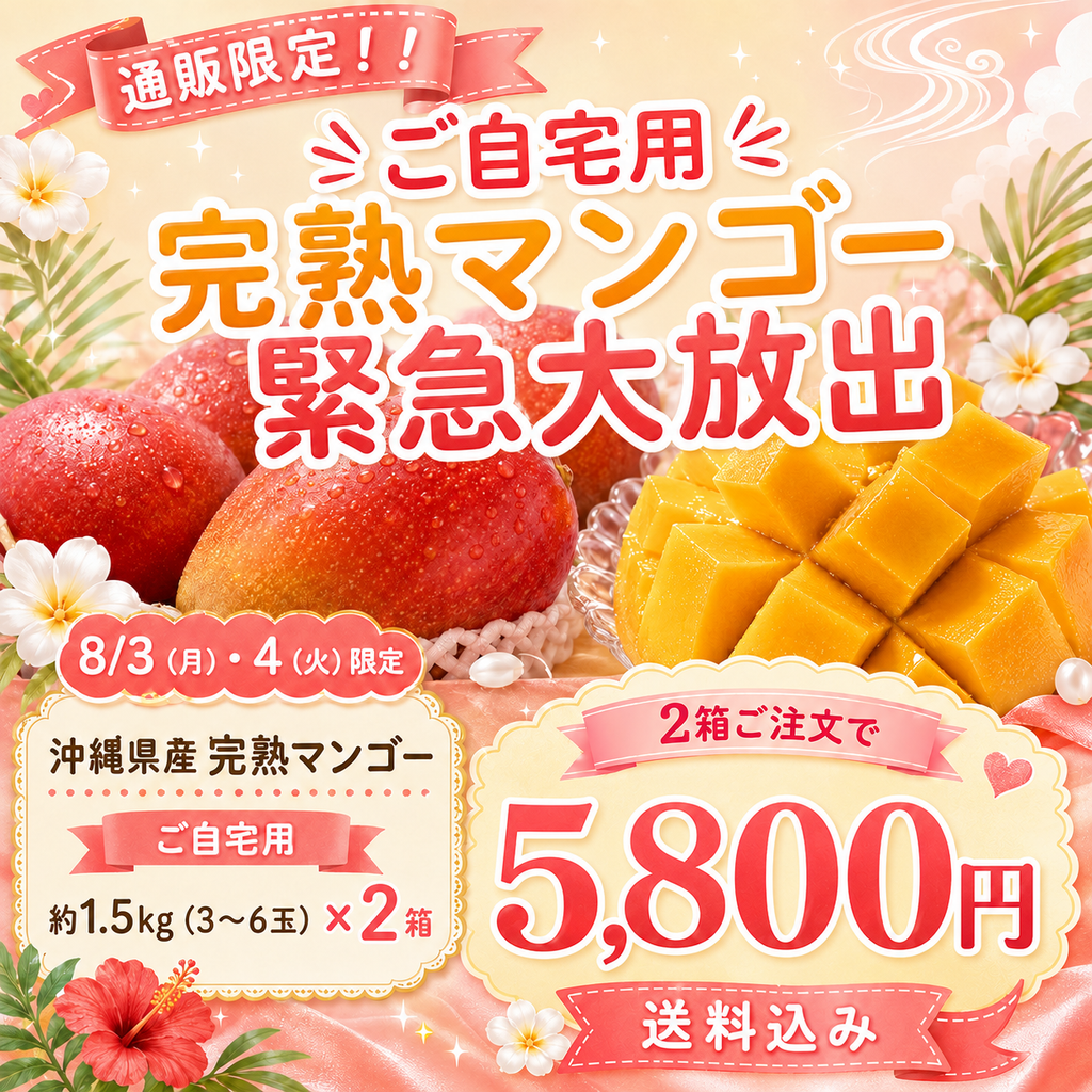 【8/3〜8/4限定】通販限定！台風直前💦訳あり 完熟マンゴー ご自宅用  約1.5kg×2箱（1箱3〜4玉）｜送料込 5,800円　8月6日〜7日にお届け予定