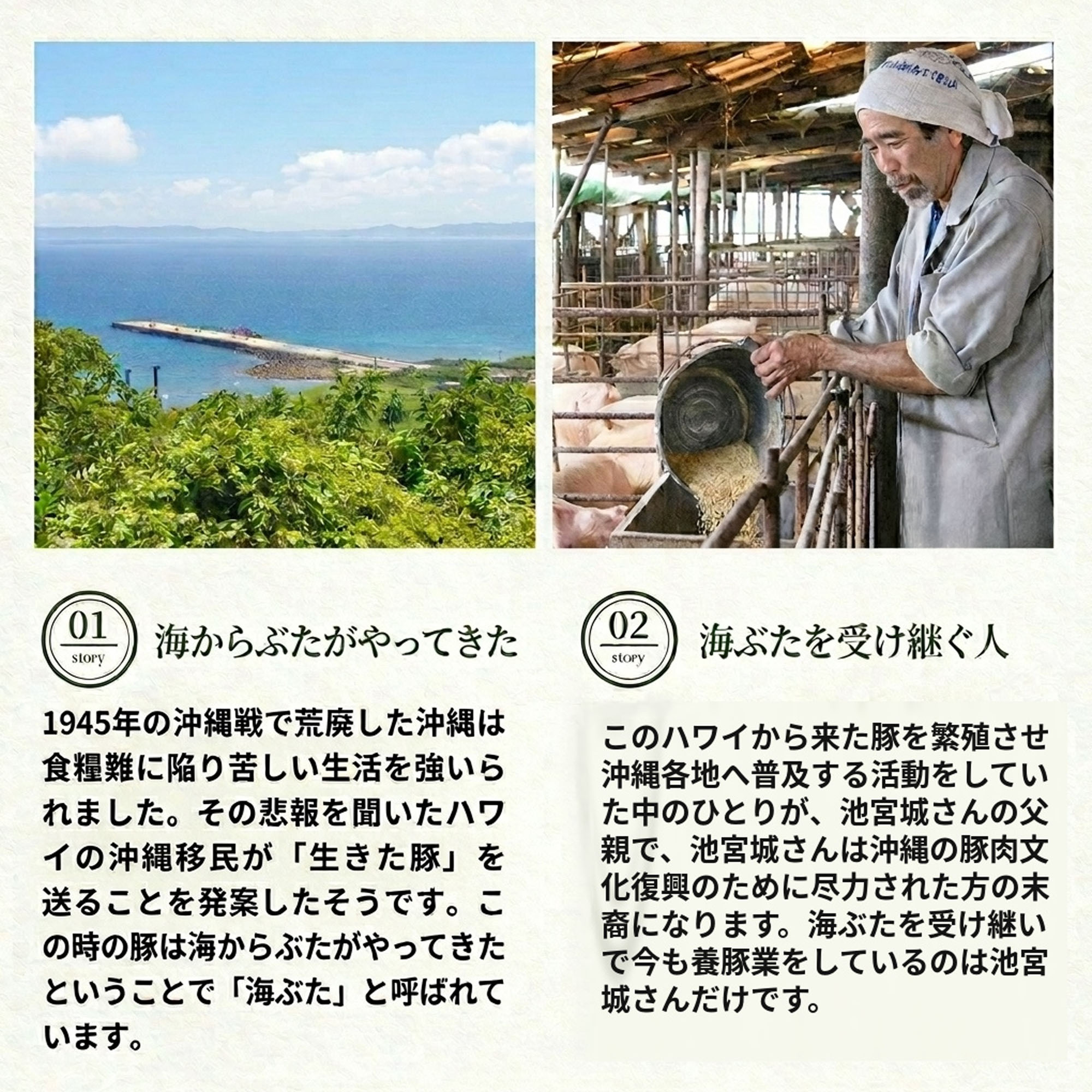 【うるまの海ぶた】柔らか味噌らふてー ｜ レトルト