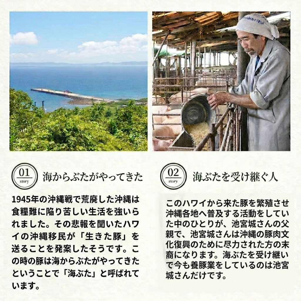 【うるまの海ぶた】ソーキ汁 ｜ レトルト