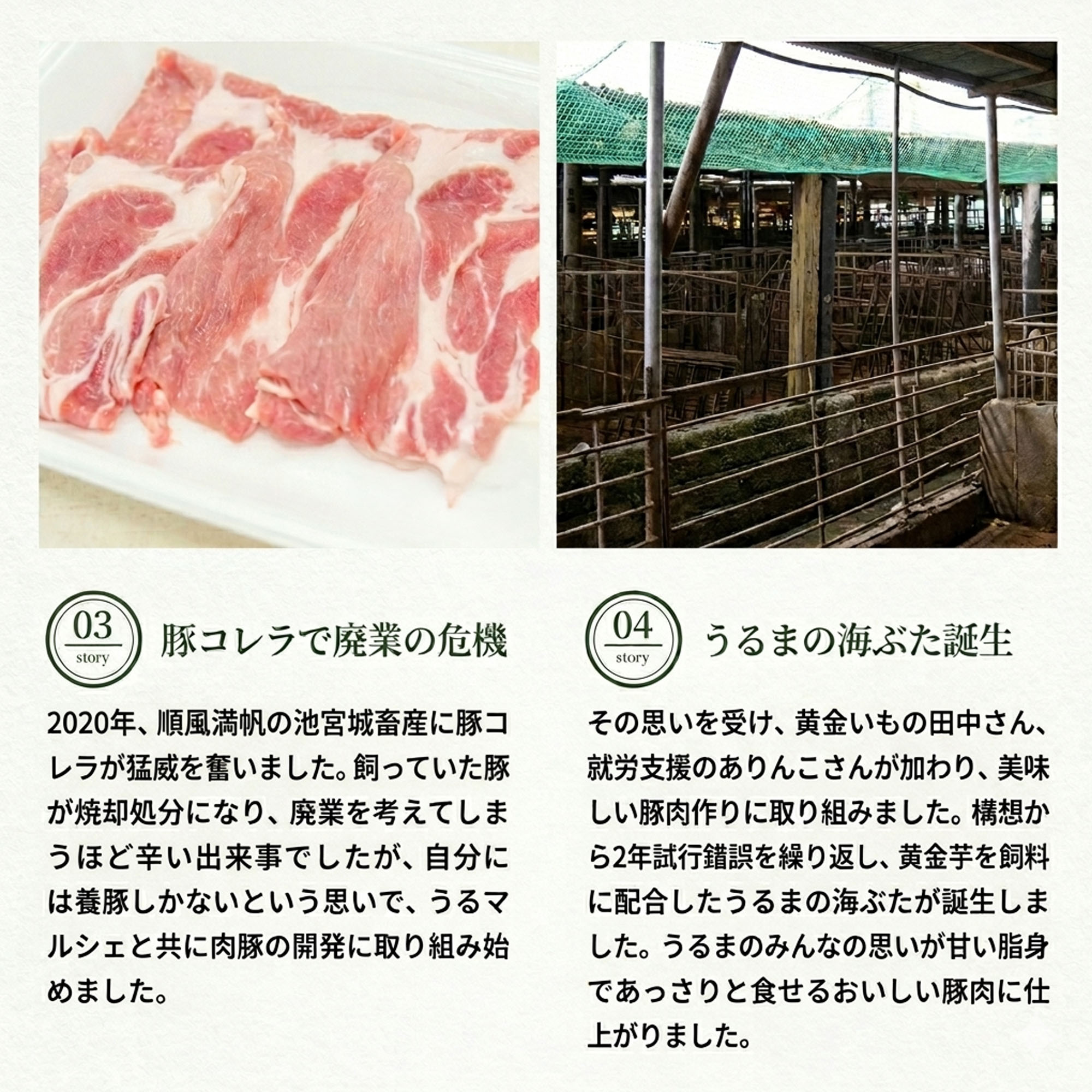 【うるまの海ぶた】柔らか味噌らふてー ｜ レトルト