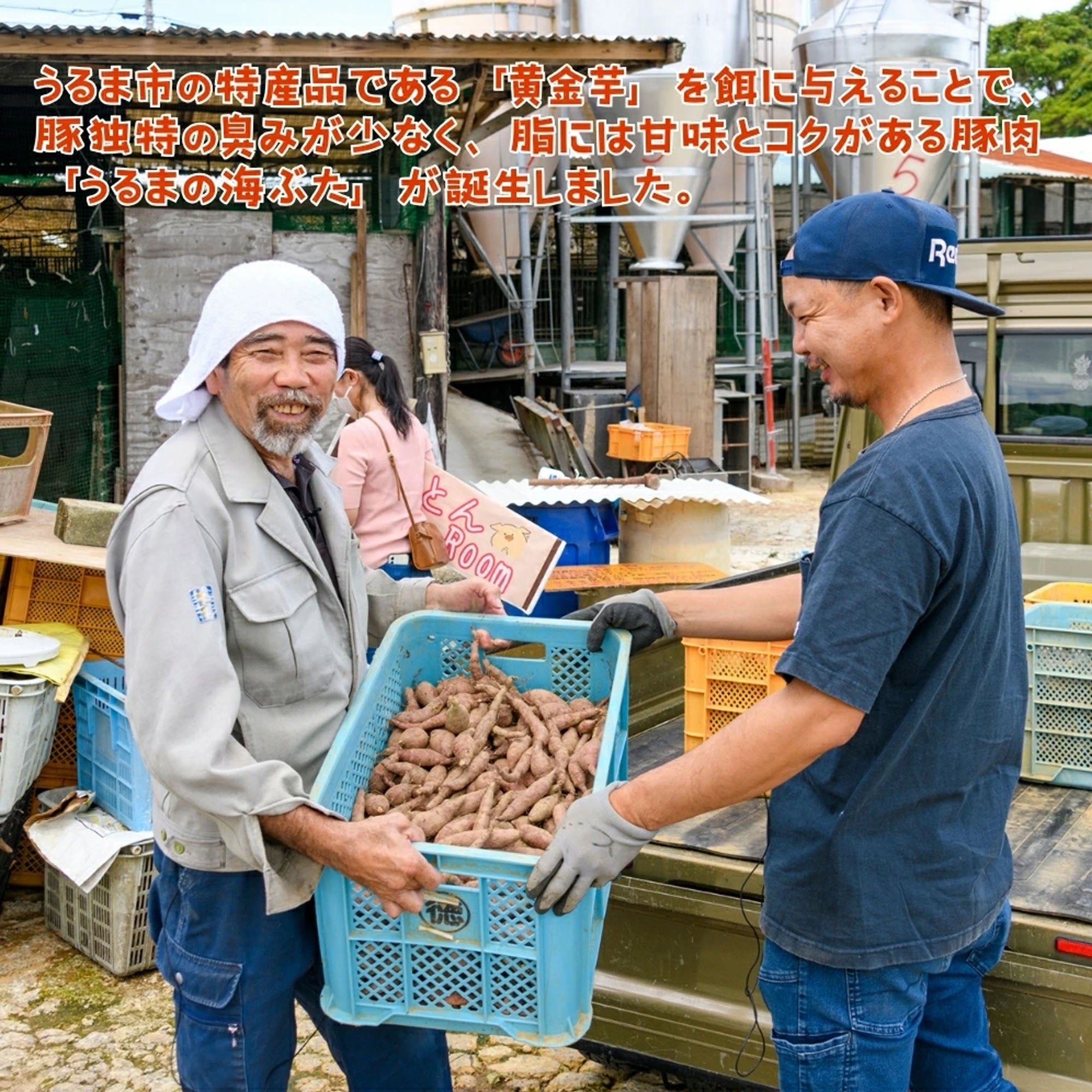 【うるまの海ぶた】切り落とし 計2.0kg｜送料込