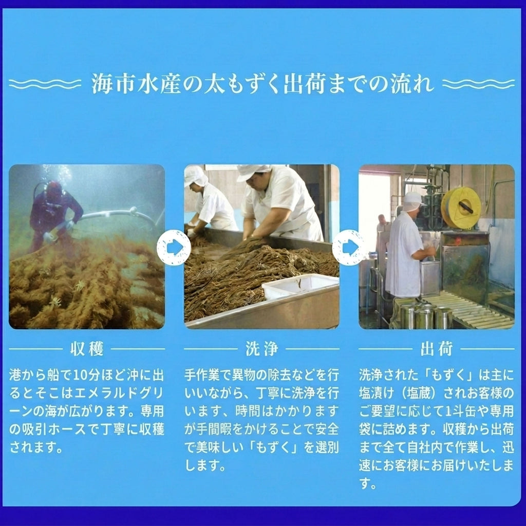【海市水産】もずく 大容量5kg｜予約販売・送料込