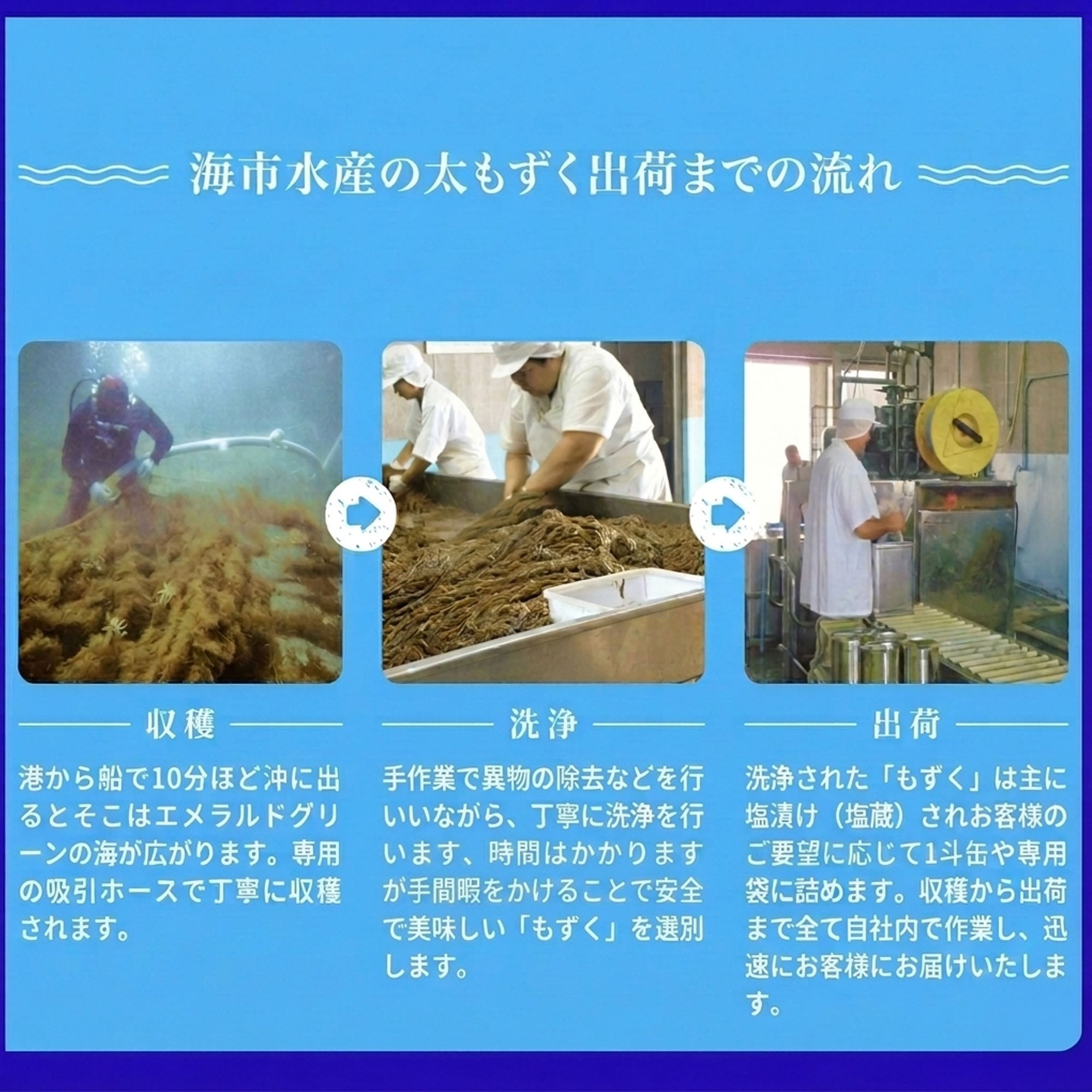 【海市水産】もずく 大容量5kg｜予約販売・送料込