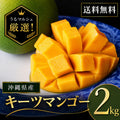 【予約販売】沖縄県うるま市産 キーツマンゴー 約2kg（2〜3玉）｜8月より順次発送・送料込