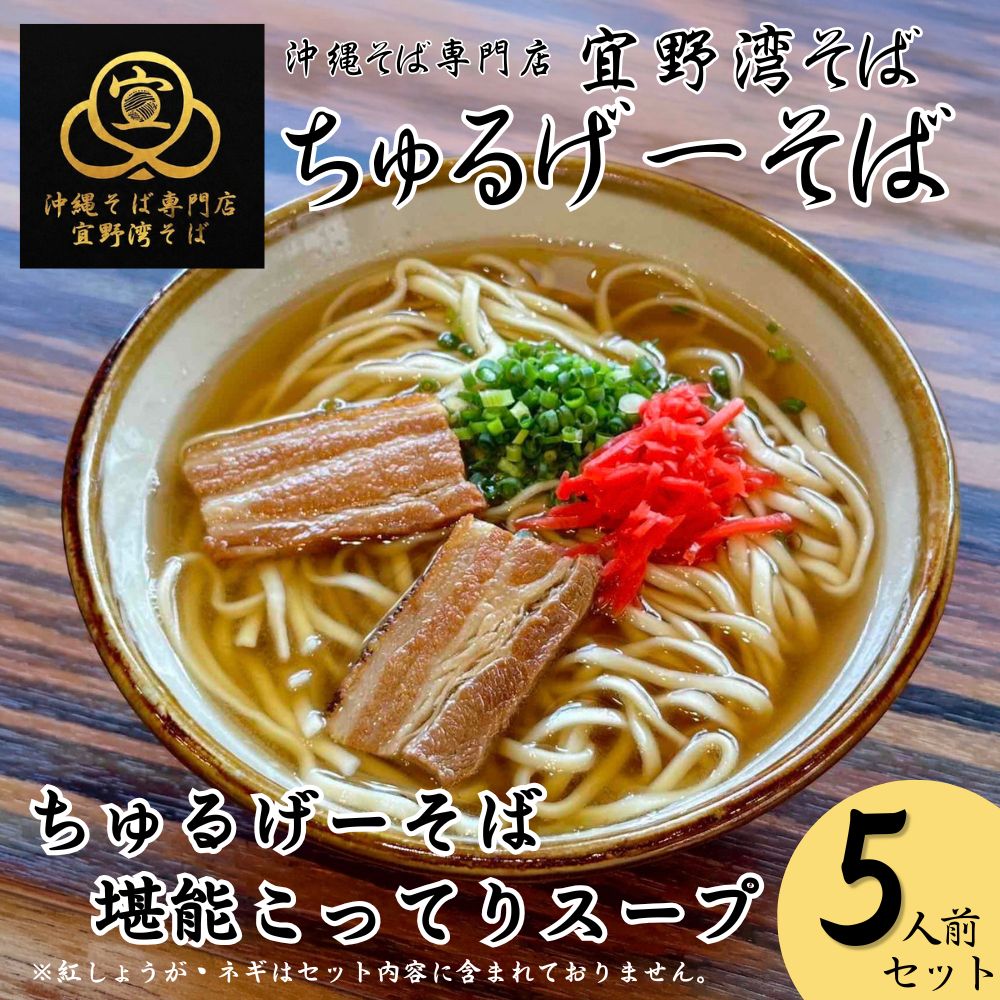 【予約限定販売】ちゅるげーそば 堪能 こってりスープ （5人前）｜送料込