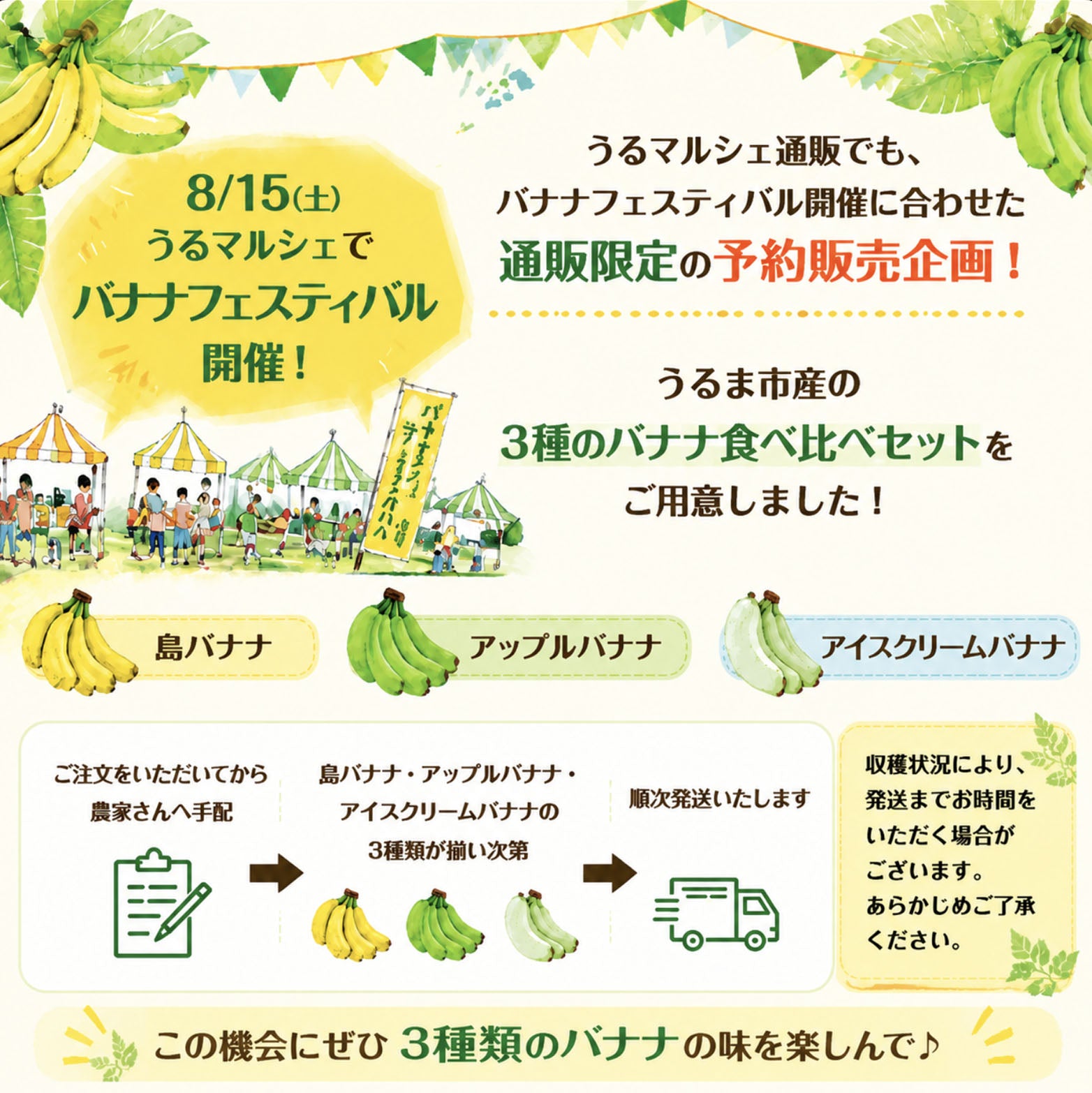 【限定販売！】3種のバナナ食べ比べセット 約1.5kg
