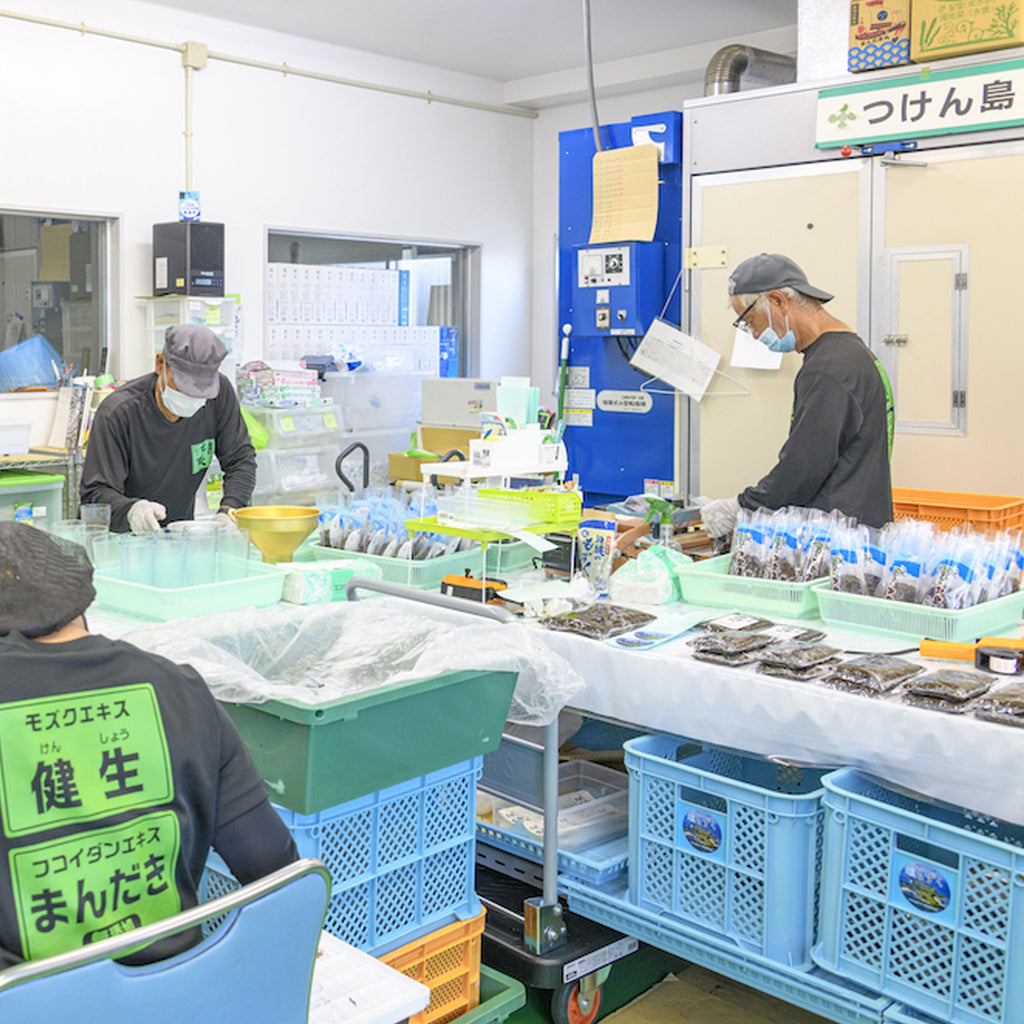 【津堅島もずく】塩もずく500g×6個・もずくしおセット｜予約販売・送料込