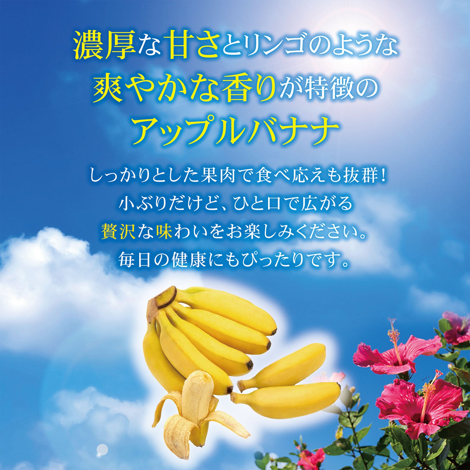 濃厚な甘さとりんごのような爽やかな香りが特徴のアップルバナナ紹介画像