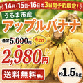 【予約販売】沖縄県うるま市産 アップルバナナ 約1.5kg