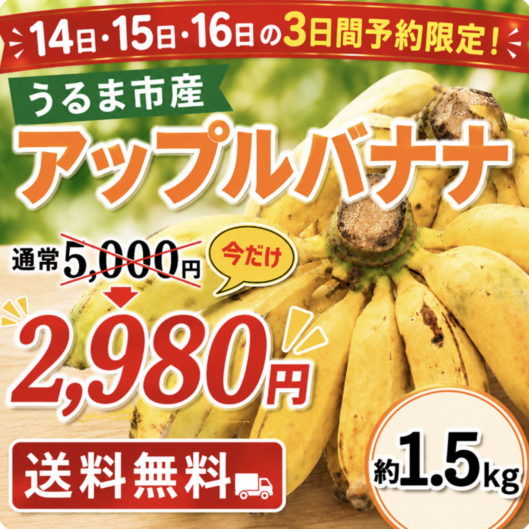 【予約販売】沖縄県うるま市産 アップルバナナ 約1.5kg