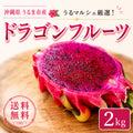 【予約販売】うるま市産 ドラゴンフルーツ 約2kg（4〜5玉）｜送料込
