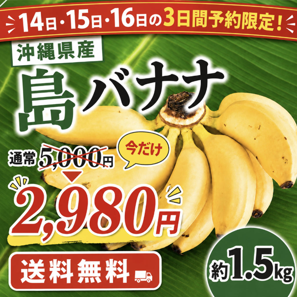 【予約販売】沖縄県産 島バナナ 約1.5kg