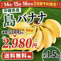 【予約販売】沖縄県産 島バナナ 約1.5kg
