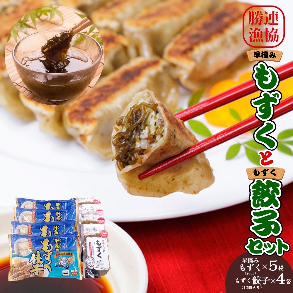 もずく餃子（12個入×4袋）＆早摘みもずく（5袋）セット【勝連漁業協同組合】