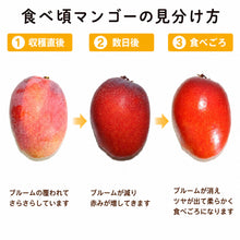 画像をギャラリービューアに読み込む, マンゴーの食べ頃の見分け方
