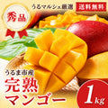 うるマルシェ厳選 沖縄県うるま市産 完熟マンゴー秀品 約1kg 送料無料