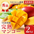 うるマルシェ厳選 沖縄県うるま市産 完熟マンゴー秀品 約2kg 送料無料