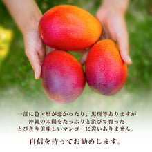 画像をギャラリービューアに読み込む, 訳あり
