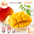 うるマルシェ厳選 沖縄県うるま市産 完熟マンゴー優品 約1kg 