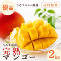 うるマルシェ厳選 沖縄県うるま市産 完熟マンゴー優品 約2kg 送料無料